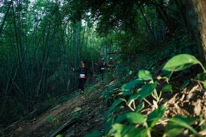 BIB: 
                            <button type="button" onclick="openModal(28124389)" class="btn btn-primary btn-sm float-right btn-popup" data-toggle="modal" data-target=".modal-high-quality">
                        <i class="fas fa-shopping-cart"></i> Add to Cart
                    </button>
                                            <button type="button" onclick="isThisMe(28124389, true)" class="btn btn-success btn-sm float-right btn-popup btn-isme hidden" data-toggle="tooltip" data-placement="bottom" title="นี่คือรูปของคุณใช่ไหม คลิกที่นี่เพื่อเอาเข้าอัลบั้ม">
                        <i class="fas fa-plus"></i> Add to album
                    </button>
                    <button type="button" onclick="isThisMe(28124389, false)" class="btn btn-warning btn-sm float-right btn-popup btn-isnotme hidden">
                        <i class="fas fa-ban"></i> Remove from album
                    </button>